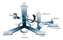 Calibration Axial displacements